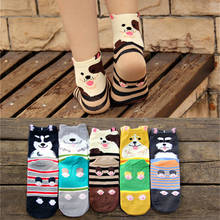 Calcetines con dibujos animados para mujer, calcetín de algodón con estampado de Shiba Inu Pug, Harajukumen, 5 pares 2024 - compra barato