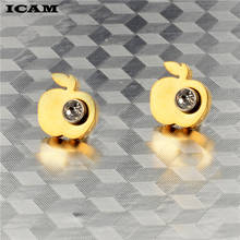 ICAM-pendientes de acero inoxidable con Circonia cúbica y forma de manzana para mujer, joyería de boda, Bisutería 2024 - compra barato