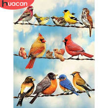 HUACAN 5d Diamond Painting Bird Handmade Gift DIY Diamond Embroidery Cross Stitch Animal Needlework Home Decor Kits 2024 - buy cheap