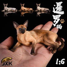 Mr. z figura de ação em escala 1/6 jxk016, gato siamês, agachamento, modelo animal, acessório de brinquedo para gato de estimação, brinquedo de cena de 12'' 2024 - compre barato