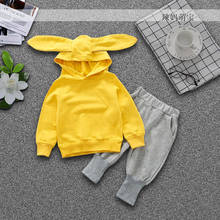 Girls Clothes Set Kids Spring Autumn Jogging Tracksuits Baby Boys Hoodie+Pants Sports Suit Children Clothing Set toddlers 80~120 2024 - buy cheap