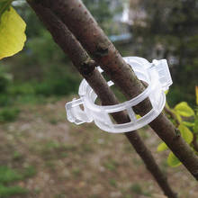 Reusable Plastic Vine Clip Plant Clips Tomato Hanging Trellis Vine Connects Plants Protection For Garter Plants Agriculture Tool 2024 - buy cheap