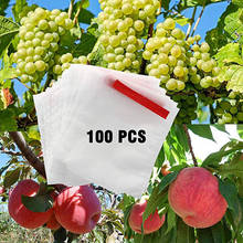 100 шт., защитный мешок для винограда, анти-птичий мешок с сеткой для насекомых, защита для овощей и фруктов, сумка для разведения, защита от комаров для фруктовых деревьев 2024 - купить недорого