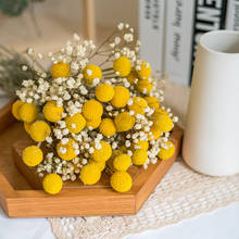20pcs Natural Dried Craspedia Billy Balls Golden Orbs Yellow Preserved Flower Home Office Wedding Decoration Table Accessories 2024 - buy cheap