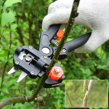 Podadora profesional de jardín, herramienta de injerto, cortador de ramas, tijeras de podar para plantas, cajas de tijera para Injerto de árboles frutales, 1 2024 - compra barato