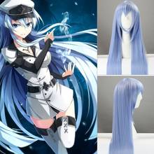 Akame Ga KILL! Esdeath 100cm 39.7" Long Straight Cosplay Wigs High Quality Heat Resistant Synthetic Fake Hair Blue Anime Party 2024 - buy cheap