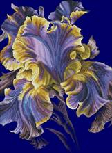 30- Seductive Iris Counted Cross Stitch 11CT 14CT 18CT Cross Stitch Kits Embroidery Needlework Sets 2024 - buy cheap