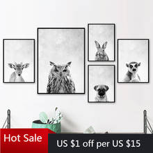 Black And White Owl Lemur Rabbit Pug Deer Print Canvas Painting Nordic Prints Wall Art Pictures For Posters Aesthetic Room Decor 2024 - buy cheap