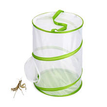 Gaiola transparente para uso de insetos, gaiola respirável de amamentação, recipiente de pegada 2024 - compre barato