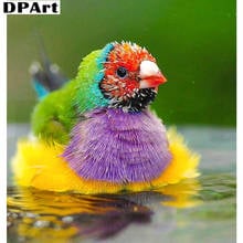 Алмазная картина полностью квадратная/круглая дрель Цветная птица 5D Daimond вышивка крестиком Набор Мозаика Стразы Y377 2024 - купить недорого