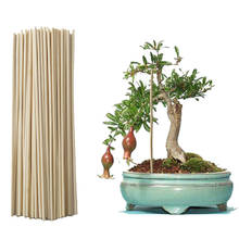 50 pçs/pçs/set planta de bambu varas de madeira planta crescer suporte para flor vara stands agricultura jardim bonsai ferramenta bastões haste tw042 2024 - compre barato