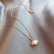 Collier clavícula corrente gargantilha colar pérola concha ouro rosa pingente de ouro colar para as mulheres nova tendência colar de jóias femininas 2024 - compre barato