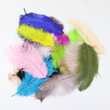 Wholesale 10PCS Real Fancy Ostrich Feather Beautiful Ostrich Plumes Dyed Color 15-20 CM/6-8 inches DIY Wedding Home Decoration 2024 - buy cheap