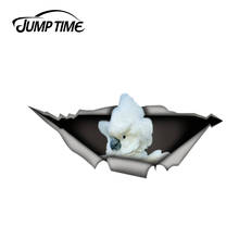 Jump Time 13cm x 5.6cm Umbrella Cockatoo decal 3D Pet Graphic Vinyl Decal Car Window Laptop Bumper Bird Car Stickers 2024 - buy cheap