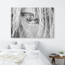 Quadros de fotografia de cavalo, arte monocromática de parede, preta, branca, cinza, moderna, contemporânea, decoração para casa 2024 - compre barato