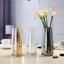 Скандинавские ins Aurora стеклянная ваза прозрачная Цветочная композиция простая настольная маленькая свежая стеклянная бутылка вазы для цветов 2024 - купить недорого