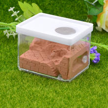 New Ecological Plaster Ant Farm square Nest Landscaping Ant House Ant Nest Workshop Pet Anthill Insect Box  10.3*7.6*7.5cm 2024 - buy cheap