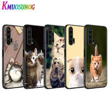 Sleeping Kitten Cat for Huawei Honor 9S 9A 9C 30 20 10i 9X Lite 8X 20 10 10i 9 Lite 8C 8A 7C 7A Pro Black Phone Case 2024 - buy cheap
