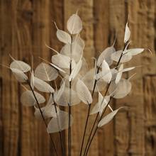 2 pcs 55cm White Bodhi Leaf Dried Flowers Wedding Party Home Decoration Accessories DIY Bouquet Preserved Flower Veins Branch 2024 - buy cheap