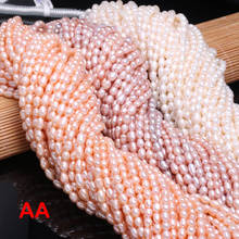 Natural Pearl Beads Oval Freshwater Pink Purple White Pearl Beading Charms For Jewelry Making Necklace Bracelet AA Level 4-5mm 2024 - buy cheap