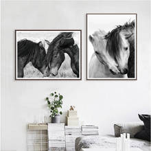 Impresiones de fotografía de caballo salvaje en blanco y negro, pintura en lienzo, imágenes artísticas de pared silvestre, carteles nórdicos, decoración para sala de estar 2024 - compra barato