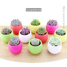 Mini Colourful Round Plastic Plant Flower Pot Garden Home Office Decor Planter Desktop Flower Pots 2024 - buy cheap