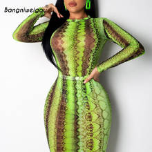Bangniweigou элегантное неоновое платье со змеиным принтом женское облегающее просвечивающее Сетчатое длинное платье Пейсли вечерние повязка для одежды платье 2024 - купить недорого