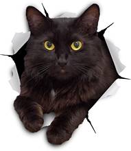 Black Cat Torn Metal Car Sticker Waterproof Personalized Decal Laptop Truck Motorcycle Auto Accessories PVC,14cm*13cm 2024 - buy cheap