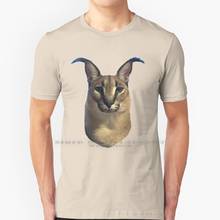 Camiseta de algodón 100% puro con orejas de gato, Camiseta con estampado de gato grande, Instagram, cara marrón, boca y nariz 2024 - compra barato