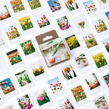 46pcs The Season of Tulip Stickers Set 44mm Mini Flower Sticker for Decoration Seal Album Frame Diary Student Kids Gift F384 2024 - buy cheap