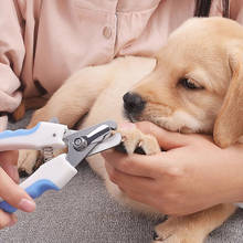 Profissional pet prego clipper cão gato de aço inoxidável aparador de unhas de poupança de trabalho cortador de unhas conveniente cão grooming suprimentos 2024 - compre barato