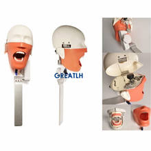 Dental Training Teeth Head model Dental Phantom Head Simulation Install to Dental Chiar Dentist Practise Model 2024 - buy cheap