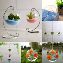 Transparent Vases Flower Plant Wall Hanging Clear Glass Vase Bottle Pot Home Garden Ball Decor Hand-blown Office Home Decoration 2024 - buy cheap