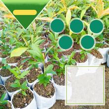 Nursery Pots Bags For Plant Breeding 8 10cm Garden Fabrics Environmental Protection Supplies All Size 100pcs Pack Jt021 Buy Cheap In An Online Store With Delivery Price Comparison Specifications Photos And Customer