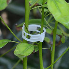 50/100pcs Plastic Plant Support Clips Reusable clamps For Plants Hanging Vine Garden Greenhouse Vegetables Tomatoes Clips 25mm 2024 - buy cheap