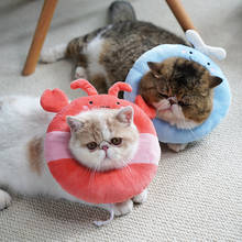 Pet Cat Soft Cotton Elizabeth Collar Cute Pattern Adjustable Neck Collar Anti-bite Recovery Cone Collar for Cat Pet Supplies 2024 - buy cheap
