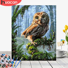 HUACAN Painting By Numbers Owl Animals Kit Acrylic Paint On Canvas Wall Art Picture HandPainted Home Decor DIY Gift 2024 - buy cheap