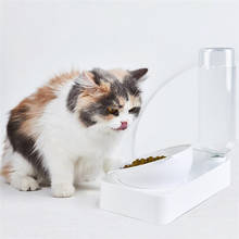 Food Grade PP Dual Use Pet Automatic Water Dispenser Pet Dog Cat Food Bowl With Automatic Water Bottles For Feeding and Drinking 2024 - buy cheap