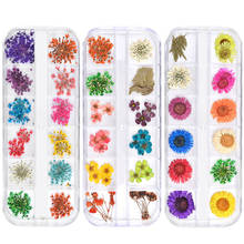 1 Box Real Dried Flowers Nail Art Decorations 3D Natural Floral Stickers Preserved Dry Flower Plants Manicure DIY Accessories 2024 - buy cheap