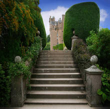 Виниловый фон с изображением замка ступеней Золушки лестницы сада высокого качества 2024 - купить недорого