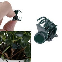 100Pcs Plastic Plant Fix Clips Orchid Stem Vine Support Vegetables Farm Flowers Fruit Tied Bundle Branch Clamping Gardening Tool 2024 - buy cheap