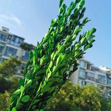 35g/20-30cm,Natural Fresh Preserved Buxus Sinica,Real Dispaly Flower for Wedding Home Decoration Accessories,Flower arrangement 2024 - buy cheap