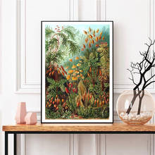 Pintura em tela vintage botânica flora, ilustrações de plantas, posteres e impressões, imagens educacionais de arte de parede, decoração de casa 2024 - compre barato