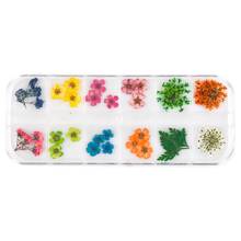 12Grid/Box Crystal Epoxy Filler Dry Flower Mixed Nail Stickers Decorations Resin Filling Material Craft Art Accessories 2024 - buy cheap