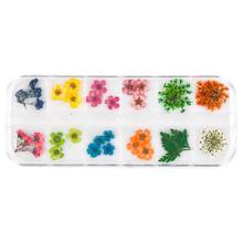 Resina adesiva para enchimento, flores secas, adesivos para unhas misturadas, material de enchimento de resina de cristal, acessórios de arte artesanal com 12 grades/caixa 2024 - compre barato