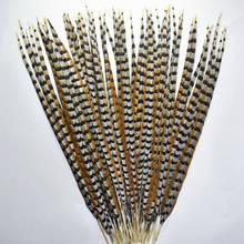 Natural Lady Amherst Pheasant Feathers for Crafts12-72" Long Reeves Venery Pheasant Tail Feathers Feather Decor Carnival Perform 2024 - buy cheap
