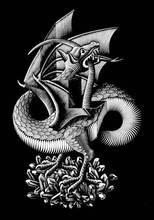 Netherlands Maurits Cornelis Escher Dragon Art SILK POSTER Wall Art Home Decorative painting 2024 - buy cheap