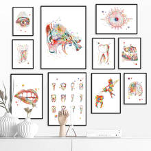 Pintura em tela de arte de impressão de parede, dentes, lábios, orelha, anatomia, poster estilo nórdico, imagens modulares para pesquisa, escritório, decoração de casa 2024 - compre barato