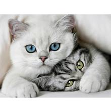 5d diy pintura diamante ponto cruz animais do gato branco bordado de diamante quadro de mosaico imitação de diamante decoração de casa venda 2024 - compre barato