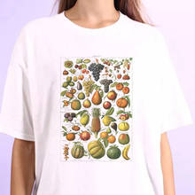 Estética de moda de verão, camiseta feminina de frutas, vintage, kawaii, estilo coreano, casual, tumblr, decote em o, camisetas 2024 - compre barato